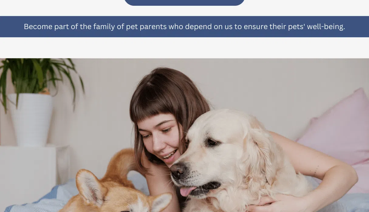 Pet Insurance