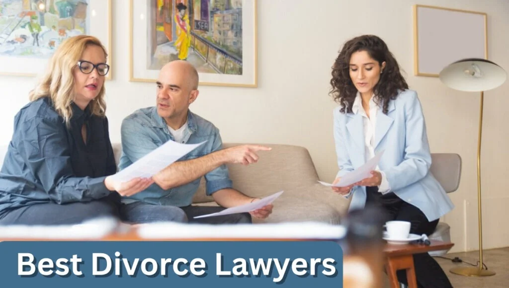 best divorce lawyers in the USA