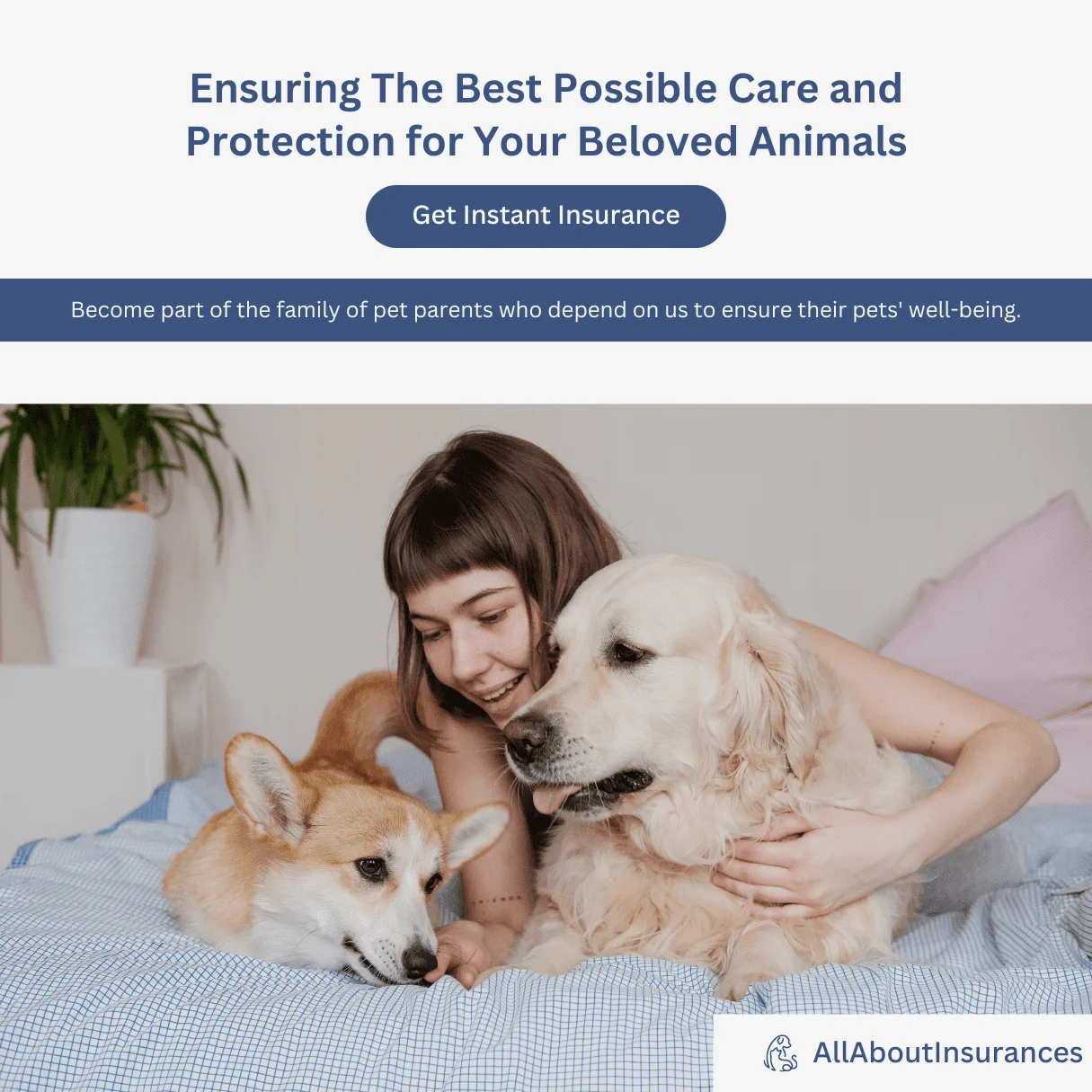 Pet Insurance